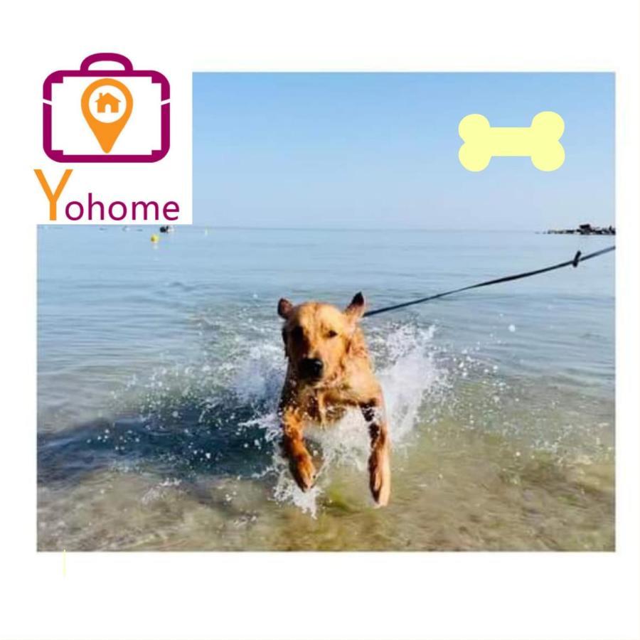 Zara D'Amare A Pesaro 10 Metri Dalla Spiaggia By Yohome Eksteriør billede